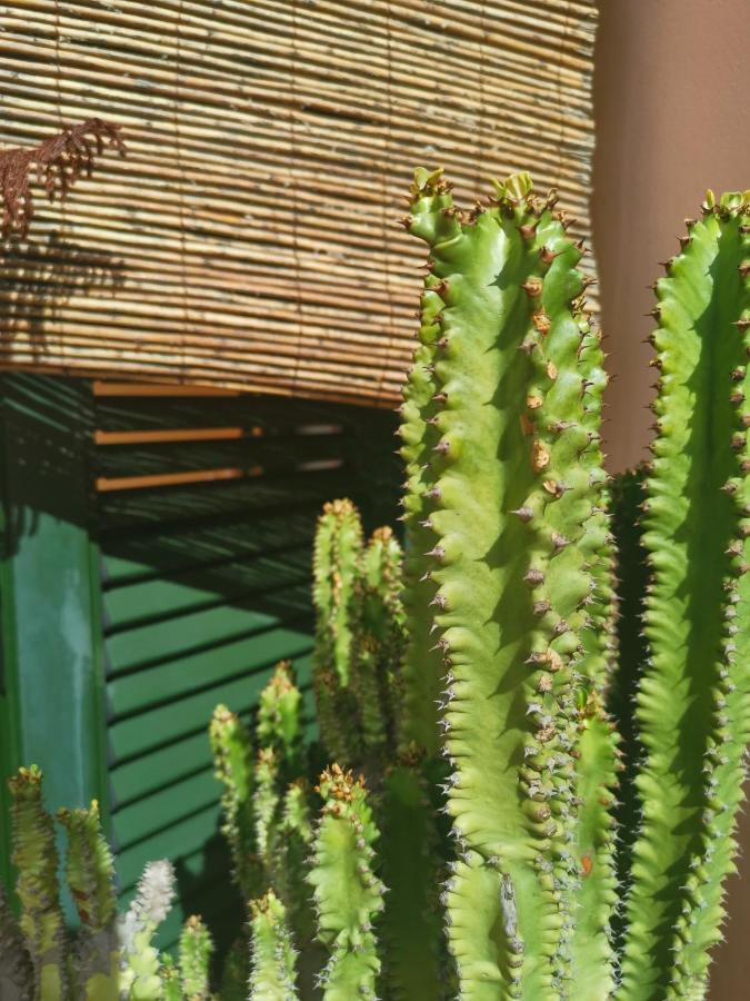 Paradise Villa Corralejo Ngoại thất bức ảnh